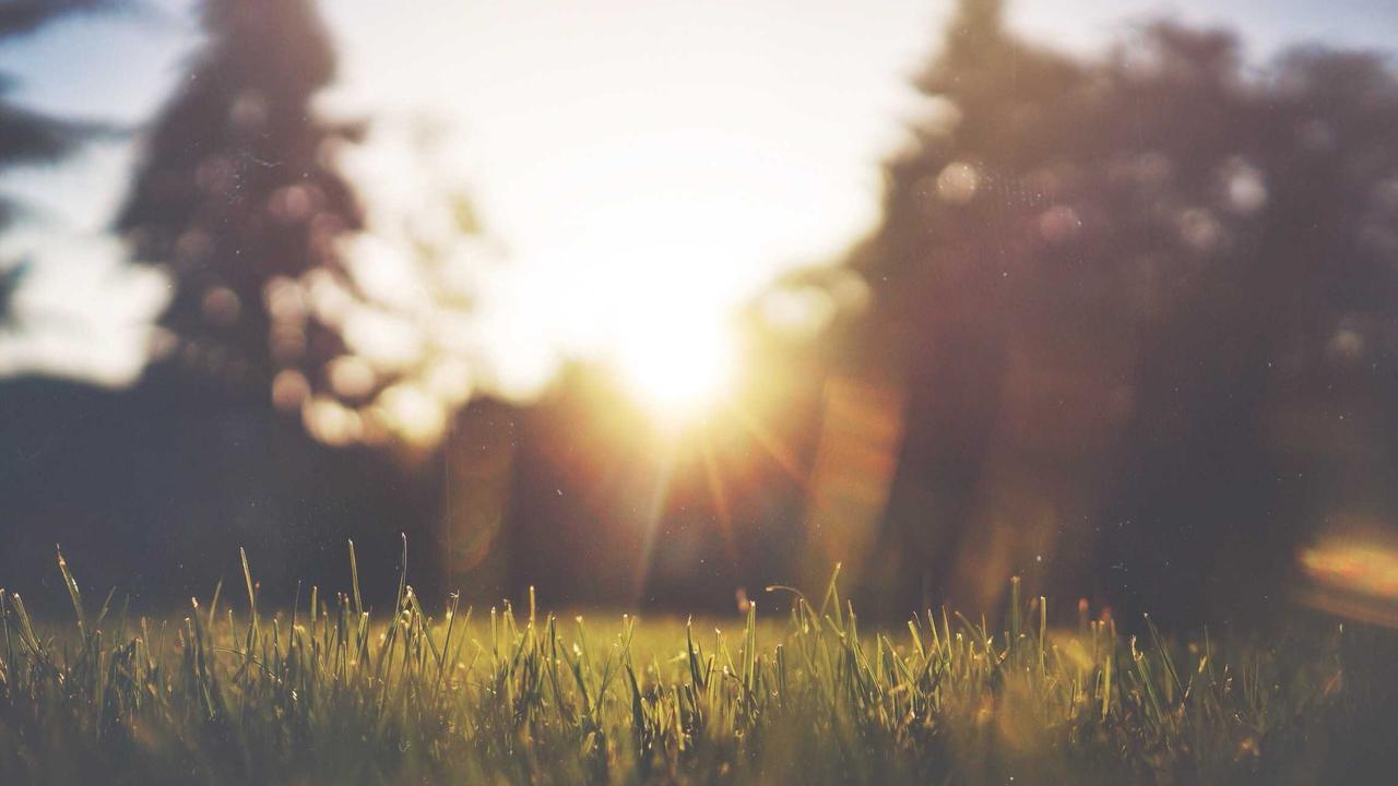 Motion Graphics sample 3